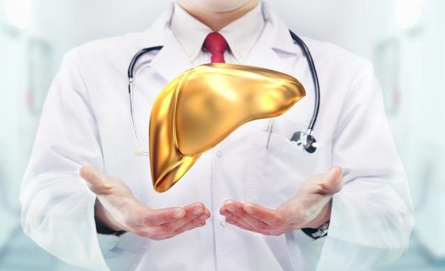 天然食療科學養(yǎng)肝 利孚頤甘元為保肝護航