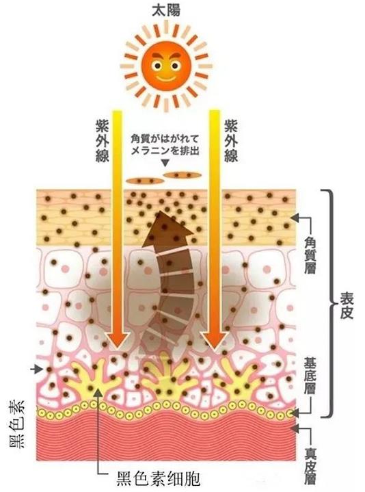 天津聯(lián)合麗格高盛川院長美白有妙招