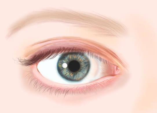 長針眼不吃藥會好嗎?眼睛部位長針眼疼怎么緩解?