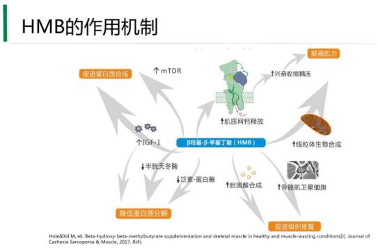 國內居然有50%老人營養不良,補充HMB不容忽視