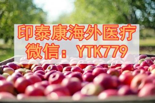 印度奧希替尼多少錢一盒?肺癌靶向藥奧希替尼國(guó)內(nèi)售價(jià)看過(guò)來(lái)