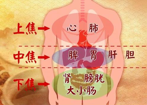 腸胃病怎么治?杜保國:三臟兼顧可除痼疾