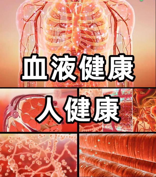 血液健康需凈化 專業權威明醫方