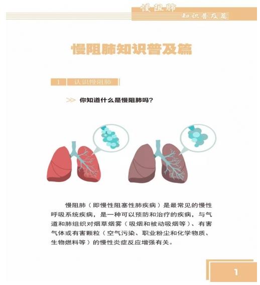 熏樂草本霧化器:科技+時尚,守護肺部健康!
