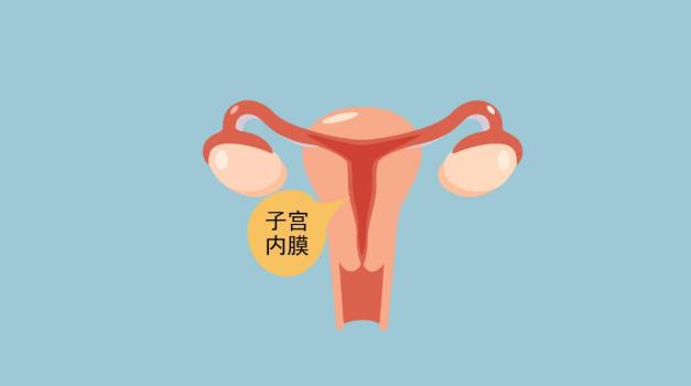 武漢仁愛醫(yī)院婦產(chǎn)科醫(yī)生解析:刮宮之后子宮內(nèi)膜還會再長嗎?