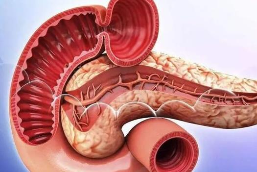 得了胰腺炎第2天不疼了怎么回事?胰腺炎恢復(fù)期經(jīng)常放屁好嗎