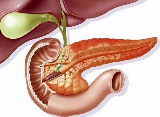 診斷了胰腺炎但一直不疼嚴(yán)重嗎?胰腺炎為什么夜里疼得厲害