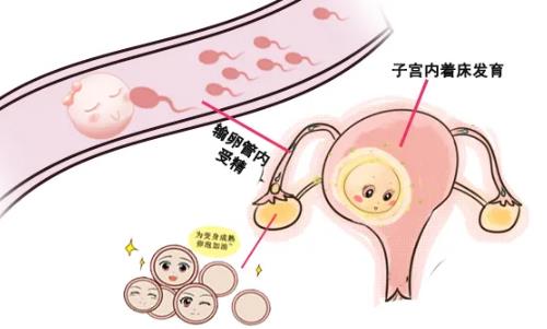 南京哪家醫院看不孕不育比較好—南京京科不孕不育專科醫院