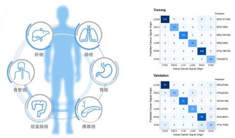 同樣患癌,為何生存率差別巨大?和瑞基因提議:癌癥早診早治