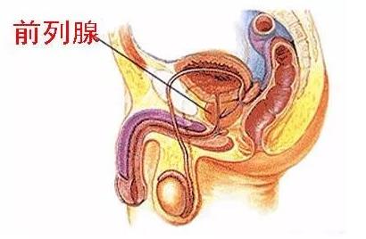 蘇州紫荊醫(yī)院怎么樣?昆山紫荊醫(yī)院坑人嗎?