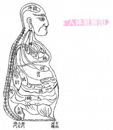 成都中醫治療癌癥醫院哪家好?成都寶芝堂中醫館