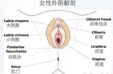 昆明陰唇縮小術?陰唇整形怎么做?