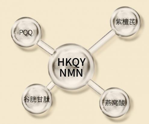 NMN功效真實可靠,美國HKQY NMN 12000受熱捧