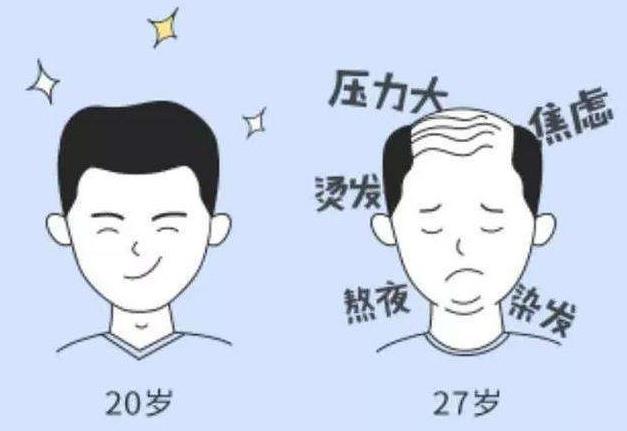 匠心精制養發膏方-胡慶余堂發如海密蔤膏