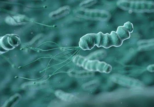 胃病是因為感染了幽門螺桿菌嗎?查幽門螺桿菌怎么查