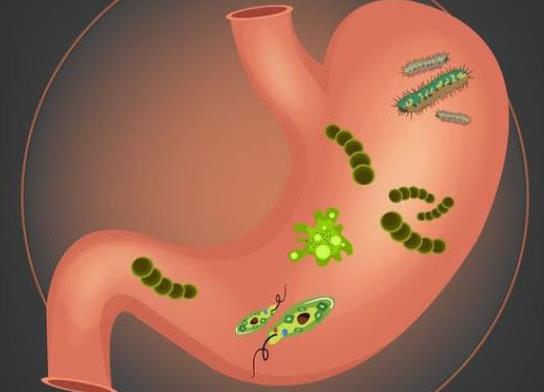 胃病是因為感染了幽門螺桿菌嗎?查幽門螺桿菌怎么查