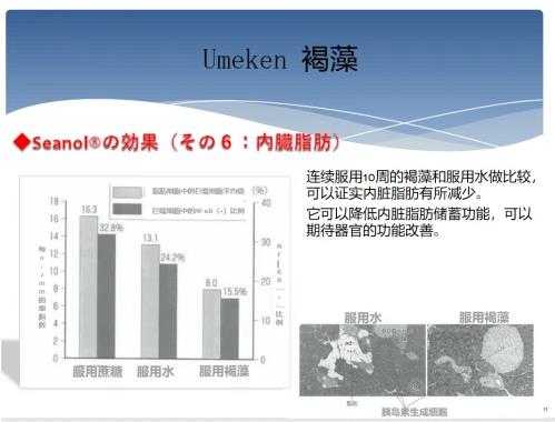 內臟脂肪過高怎么辦,Umeken告訴你如何遠離“水桶腰”!
