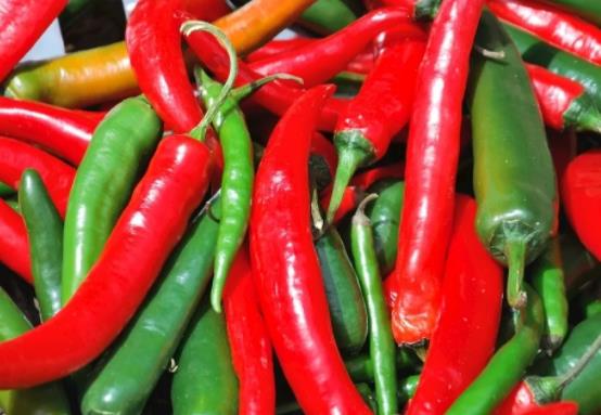 吃辣椒為什么拉肚子呢?辣椒辣得手痛得受不了該如何緩解