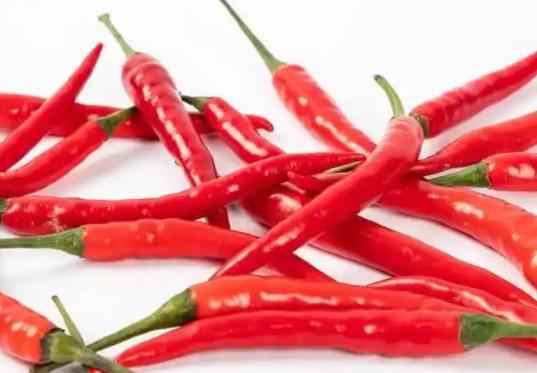 吃辣椒為什么拉肚子呢?辣椒辣得手痛得受不了該如何緩解