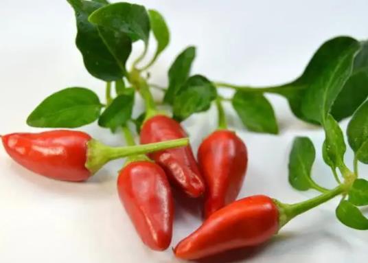 辣椒進(jìn)眼睛有危害嗎?為什么吃完辣的第二天肚子疼