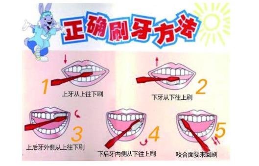 姑娘把22顆牙刷壞 全因牙齒護理不當所致