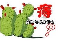 直腸息肉術后吃什么——武漢馬應龍肛腸醫院建議