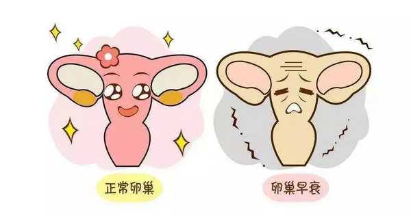 優(yōu)貝貝助孕科普|關(guān)于卵巢早衰,你該知道的5個(gè)問題 1.webp.jpg