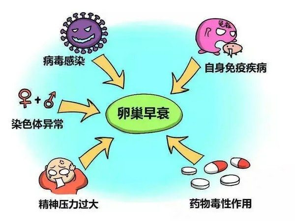優(yōu)貝貝助孕科普|關(guān)于卵巢早衰,你該知道的5個(gè)問題 4.webp.jpg