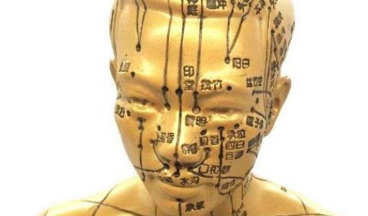 世界最早的人體教學模型 1027年鑄計灸銅人模型
