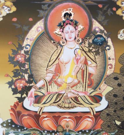 世界最大型的古代醫藥彩圖 唐卡藏醫掛圖每幅長80-100厘米 寬60—80厘米