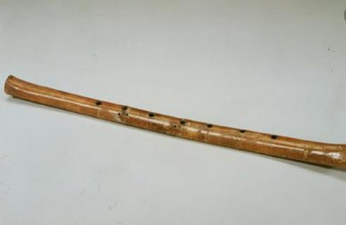 中國(guó)最古老的樂(lè)器 賈湖骨笛距今9000年