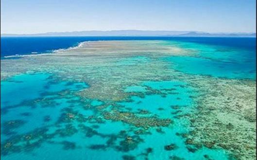 世界上最大的海 珊瑚海總面積達479.1萬平方公里