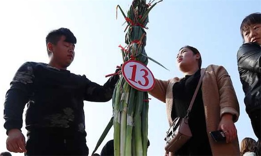 世界上最高的大蔥 濟南現(xiàn)2.51米大蔥王