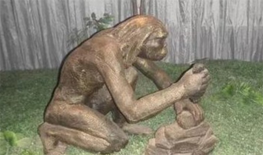 中國境內最早的人類 元謀人源于170萬年前