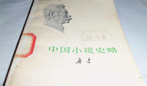 中國(guó)第一部小說(shuō)專史 《中國(guó)小說(shuō)史略》由魯迅著作