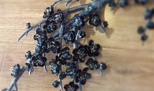 中國獨有的畫種 清朝康熙年間鐵匠湯鵬發(fā)明的鐵畫