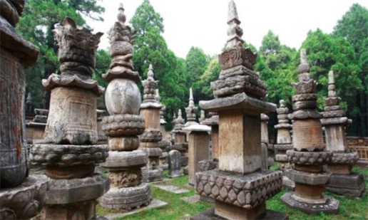 中國現存最大的墓塔林 少林寺塔林占地約21000多平方米