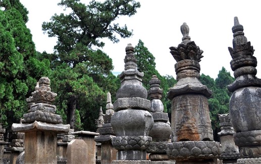 中國現存最大的墓塔林 少林寺塔林占地約21000多平方米