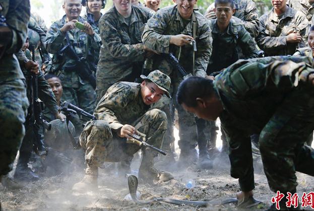 2013“金色眼鏡蛇”聯(lián)合軍演演習,美軍士兵叢林生存訓練生吃眼鏡蛇血組圖