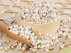 哺乳期能吃薏米嗎？哺乳期吃薏米有什么好處