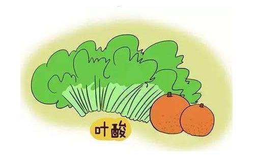 吃什么容易懷孕 懷孕前的準備工作
