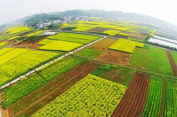 什么是土地登記?土地登記申請材料包括哪些(出現(xiàn)爭議如何處理)