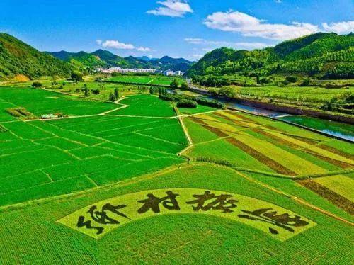 2021國家鄉(xiāng)村振興局正式掛牌!黨組成員有誰?設(shè)有哪些機構(gòu)?