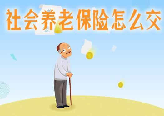 55歲可以一次性交15年養老保險嗎?哪些人可以補繳養老保險?