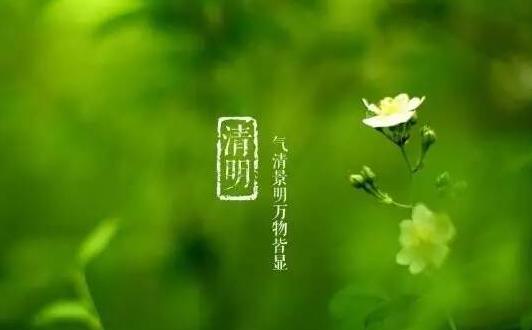 清明節車輛管理處能辦理業務嗎?2021清明節上海迪士尼人多嗎