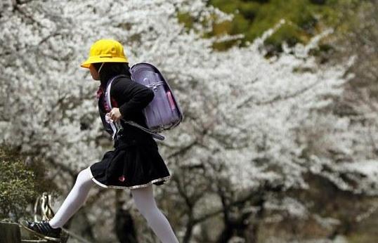 小學生就近入學有什么好處?2021年小學免試就近入學制度是怎樣的?