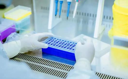 24小時還查不到核酸檢測結果需要重做嗎 核酸檢測結果出來后健康碼多久更新