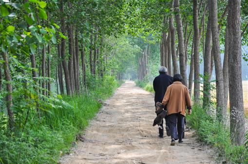 2020年農村60歲老人能領多少錢?養老金上調600元是真的嗎?