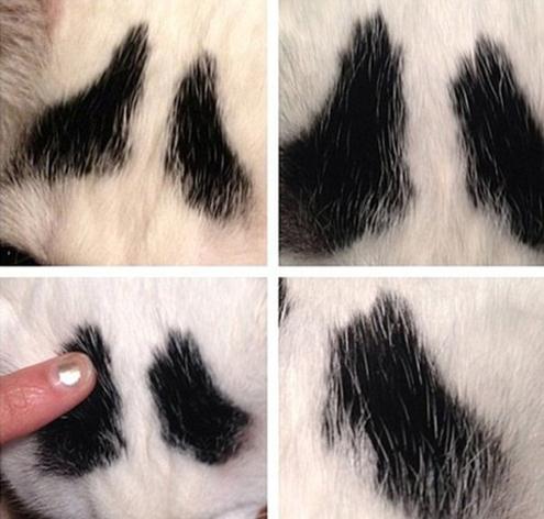 ü؈ɽķWjt؈üĘuȇ