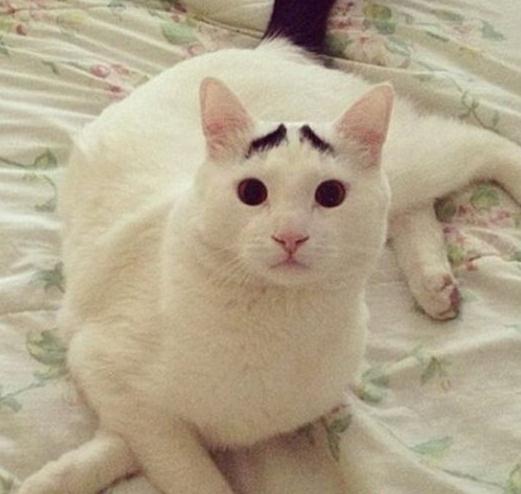 ü؈ɽķWjt؈üĘuȇ